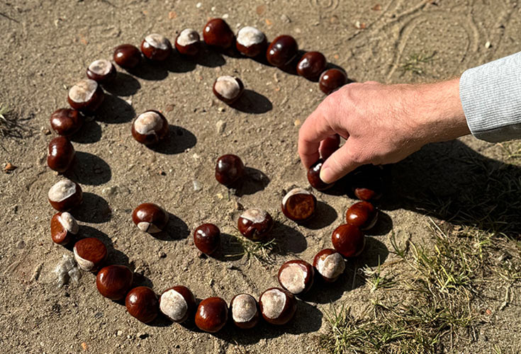 aus Kastanien gelegter Smiley